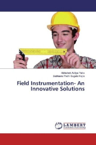 Kniha Field Instrumentation- An Innovative Solutions Abhishek Aditya Patra