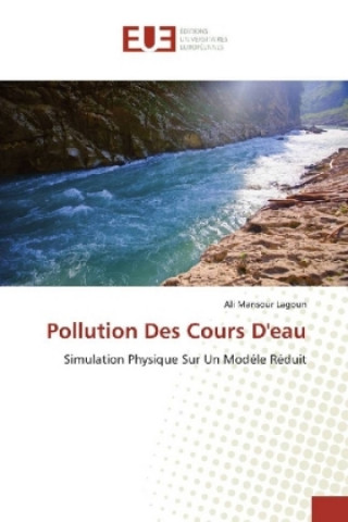 Kniha Pollution Des Cours D'eau Ali Mansour Lagoun