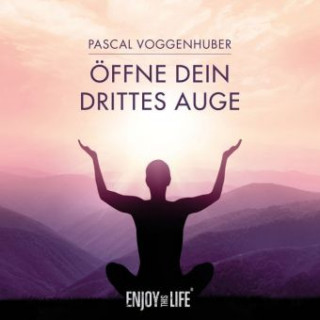 Аудио Öffne Dein drittes Auge, 1 Audio-CD Pascal Voggenhuber