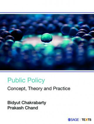 Kniha Public Policy Bidyut Chakrabarty