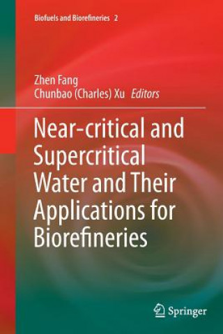 Kniha Near-critical and Supercritical Water and Their Applications for Biorefineries Zhen Fang