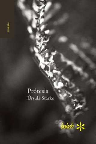 Kniha Protesis. Escrituras 2007-2015 Úrsula Starke