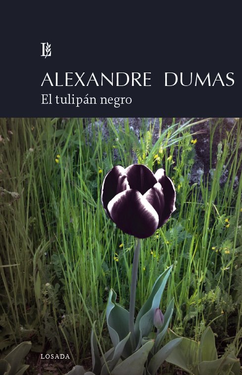 Könyv TULIPAN NEGRO, EL.(NARRATIVA) DUMAS. ALEXANDRE