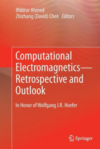 Kniha Computational Electromagnetics-Retrospective and Outlook Iftikhar Ahmed