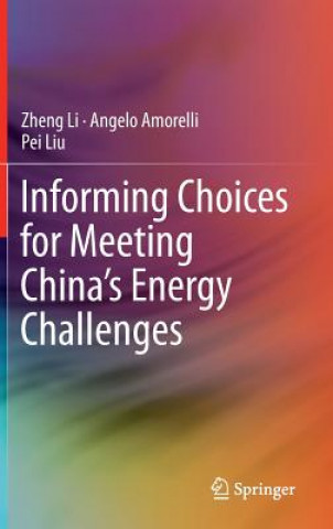 Kniha Informing Choices for Meeting China's Energy Challenges Zheng Li