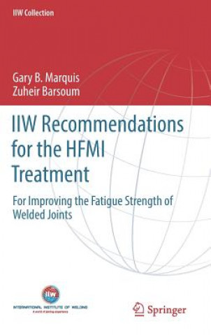 Книга IIW Recommendations for the HFMI Treatment Gary B. Marquis