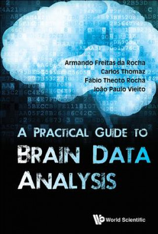 Könyv Practical Guide To Brain Data Analysis, A Joao Paulo Vieito