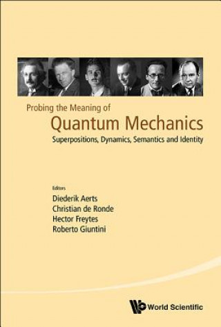 Könyv Probing The Meaning Of Quantum Mechanics: Superpositions, Dynamics, Semantics And Identity Christian De Ronde