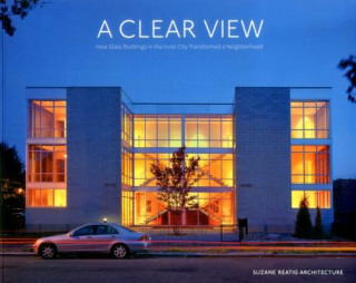 Kniha Clear View, A Thomas S. Shiner