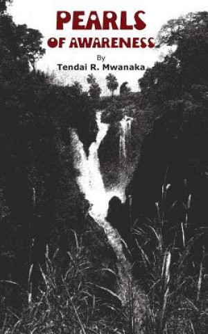 Kniha Pearls of Awareness Tendai R. Mwanaka