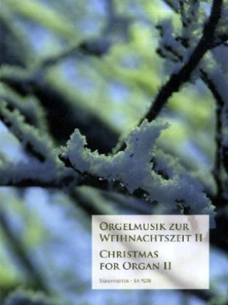 Tlačovina Orgelmusik zur Weihnachtszeit. Christmas for Organ. Bd.2 Andreas Rockstroh