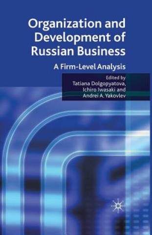 Kniha Organization and Development of Russian Business Tatiana Dolgopyatova