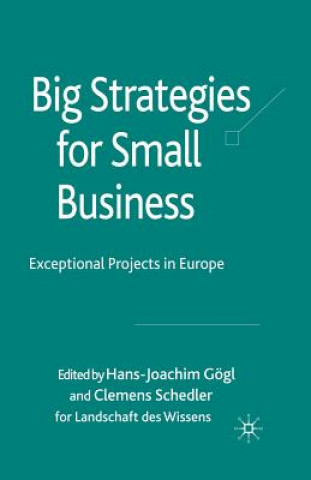 Kniha Big Strategies for Small Business H. Gogl