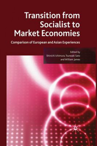 Kniha Transition from Socialist to Market Economies S. Ichimura