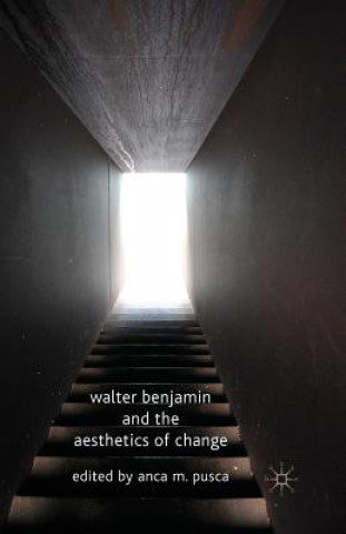 Knjiga Walter Benjamin and the Aesthetics of Change A. M. Pusca