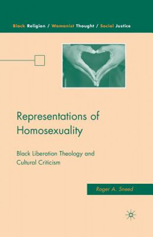 Buch Representations of Homosexuality R. Sneed