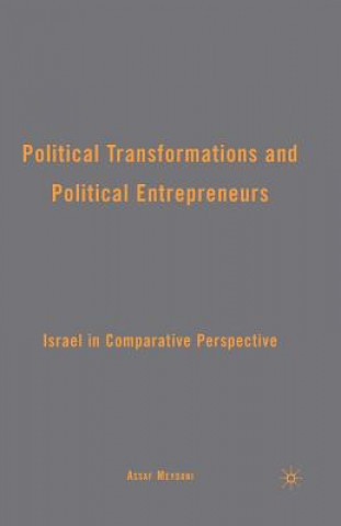 Kniha Political Transformations and Political Entrepreneurs A. Meydani