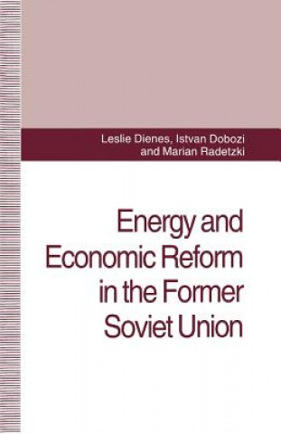 Könyv Energy and Economic Reform in the Former Soviet Union L. Dienes