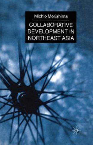 Książka Collaborative Development in Northeast Asia M. Morishima