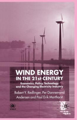 Kniha Wind Energy in the 21st Century R. Redlinger