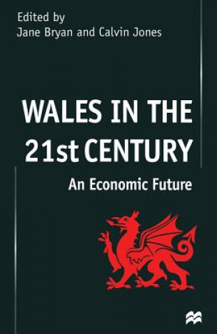 Buch Wales in the 21st Century J. Bryan