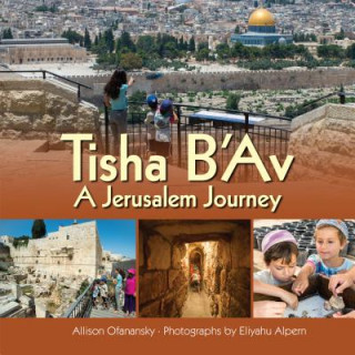 Kniha Tisha B'Av: A Jerusalem Journey Allison Ofanansky