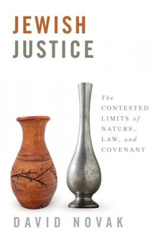 Könyv Jewish Justice David Novak