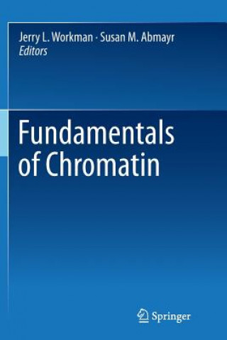 Könyv Fundamentals of Chromatin Susan M. Abmayr