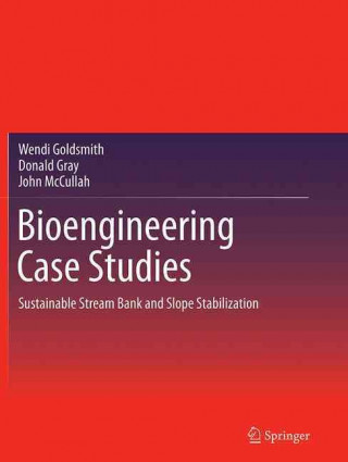 Książka Bioengineering Case Studies Wendi Goldsmith