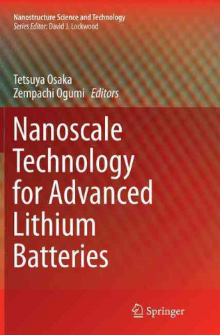 Książka Nanoscale Technology for Advanced Lithium Batteries Tetsuya Osaka