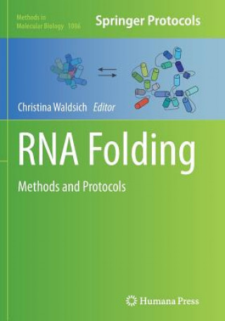 Kniha RNA Folding Christina Waldsich