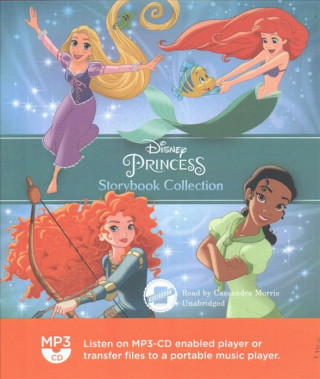 Digital Disney Princess Storybook Collection Disney Book Group