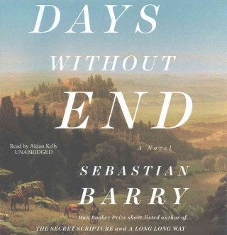 Audio Days Without End Barry Sebastian