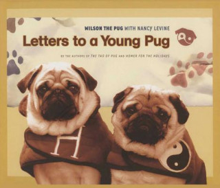 Kniha Letters to a Young Pug Nancy Levine