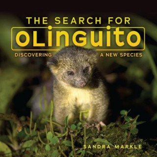 Carte The Search for Olinguito: Discovering a New Species Sandra Markle