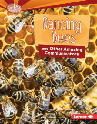 Kniha Dancing Bees and Other Amazing Communicators Mary Lindeen