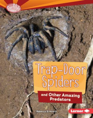 Carte Trap-Door Spiders and Other Amazing Predators Rebecca E. Hirsch