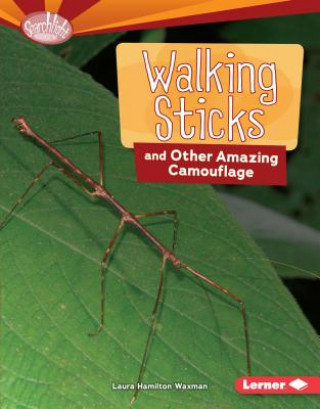 Βιβλίο Walking Sticks and Other Amazing Camouflage Laura Hamilton Waxman