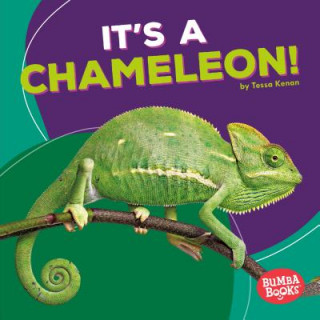 Kniha It's a Chameleon! Tessa Kenan