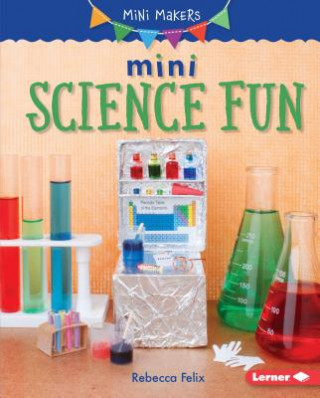 Buch Mini Science Fun Rebecca Felix