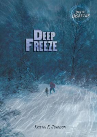 Kniha Deep Freeze Kristin F. Johnson