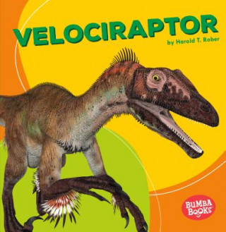 Livre Velociraptor Harold T. Rober