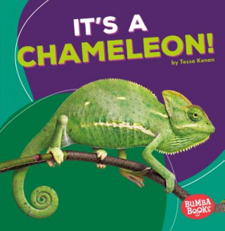 Książka It's a Chameleon! Tessa Kenan