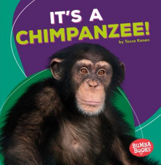 Książka It's a Chimpanzee! Tessa Kenan