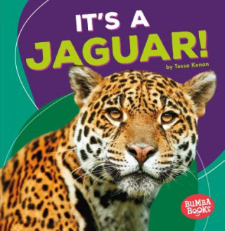 Carte It's a Jaguar! Tessa Kenan