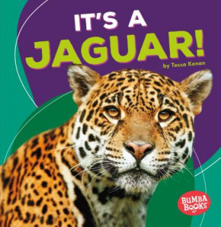 Βιβλίο It's a Jaguar! Tessa Kenan