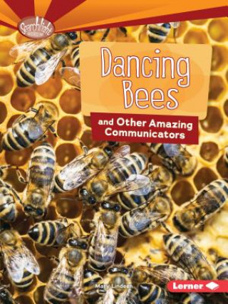 Kniha Dancing Bees and Other Amazing Communicators Mary Lindeen