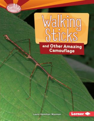 Carte Walking Sticks and Other Amazing Camouflage Laura Hamilton Waxman