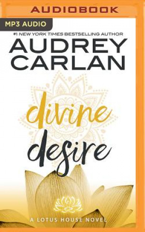 Digital Divine Desire Audrey Carlan