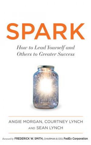 Audio Spark: How to Lead Yourself and Others to Greater Success Angie Morgan